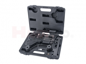 Diesel Engine Setting and Locking Kit for BMW
